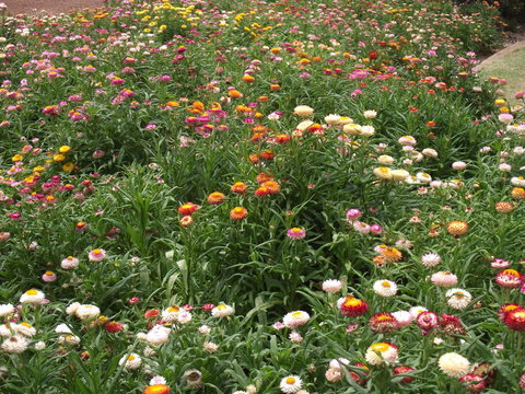 Eastgate On The Range Motel - ACT Tourism 37