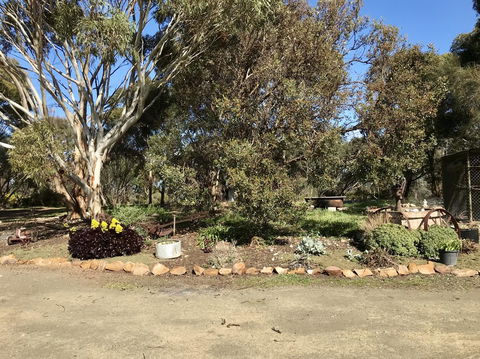 Beeâ€™s Place - 3 Bedroom Home On 10 Acres Of Land With Distant Ocean Views - ACT Tourism 15