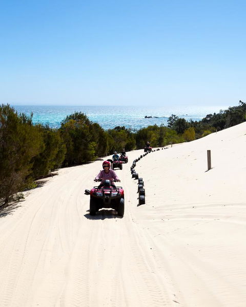 Tangalooma Island Resort - ACT Tourism 11