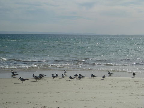 Beachfront Holiday Apartment To Rent For Short And Long Stays - ACT Tourism 30