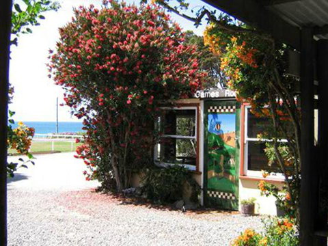 King Island Accommodation Cottages - ACT Tourism 11