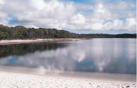 King Island Accommodation Cottages - ACT Tourism 17