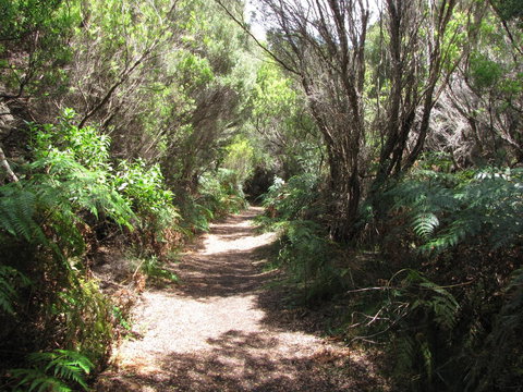 King Island Accommodation Cottages - ACT Tourism 12