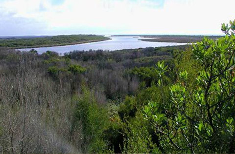 King Island Accommodation Cottages - ACT Tourism 20