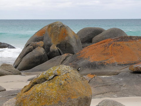 King Island Accommodation Cottages - ACT Tourism 40