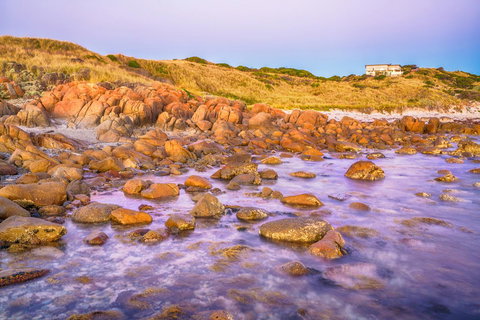 Porky Beach Retreat - King Island Escapes - ACT Tourism 9