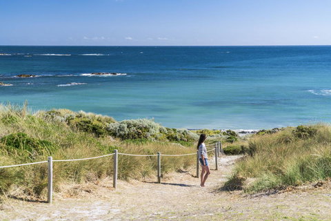 Porky Beach Retreat - King Island Escapes - ACT Tourism 14