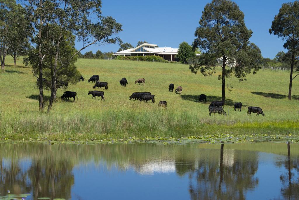 Violet Hill NSW ACT Tourism