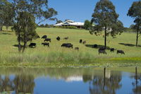 Book Nabiac Accommodation Vacations ACT Tourism ACT Tourism