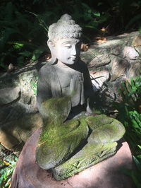 Book Coolum Accommodation Vacations ACT Tourism ACT Tourism