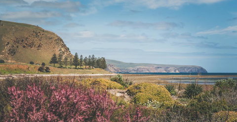 20 Lady Bay Road - ACT Tourism 3