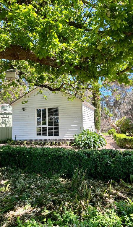 Birchwood Cottage - ACT Tourism 4