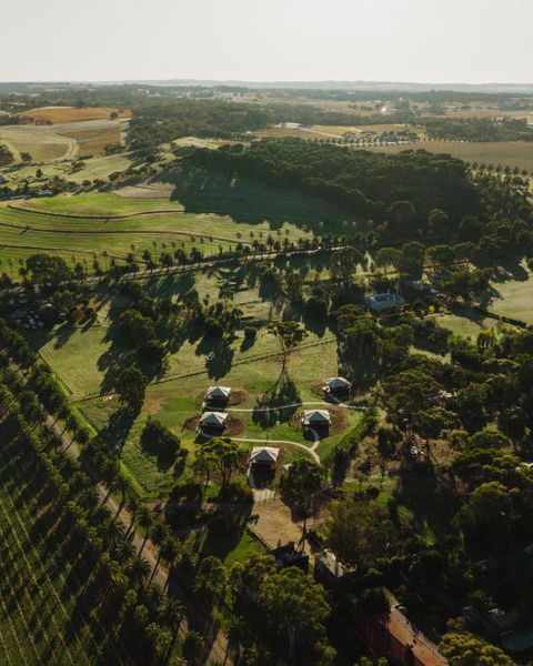 CANVS By CABN Seppeltsfield Barossa - ACT Tourism 1