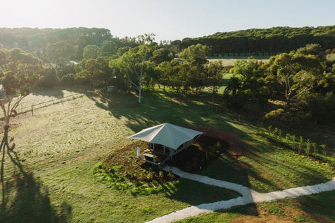 CANVS By CABN Seppeltsfield Barossa - ACT Tourism 0