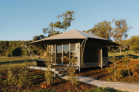 CANVS By CABN Seppeltsfield Barossa - ACT Tourism 3
