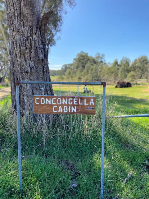 Concongella Cabin - ACT Tourism 3