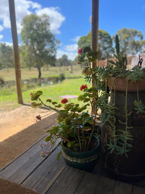 Concongella Cabin - ACT Tourism 1