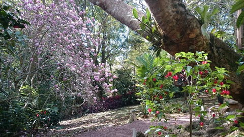 305 Montville - The Artist's Cottage - ACT Tourism 3