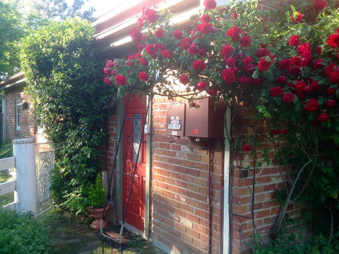 A Country Barn Retreat - ACT Tourism 2