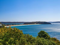 A Little Piece of Paradise