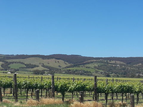 A Victor Harbour Retreat Aldinga Tony's Music Cottage - ACT Tourism 3
