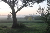 Book Heyfield Accommodation Vacations ACT Tourism ACT Tourism