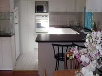 Book Forestville Accommodation Vacations ACT Tourism ACT Tourism