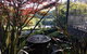 Emerald Ridge - thumb 4