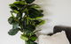 Family Friendly 3 Bedroom Home - Summer Dayz Shoal Bay - thumb 1