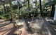 Fernview On Falls - thumb 1