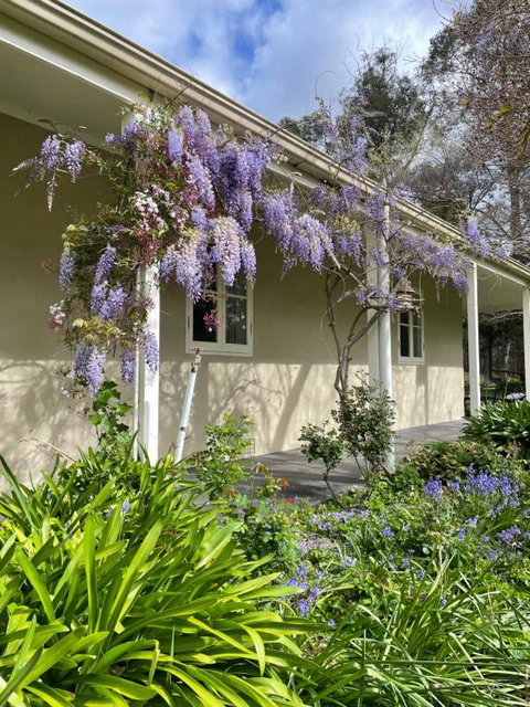 Fleetwood Cottage Bed And Breakfast - ACT Tourism 4