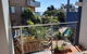 Flynns Beach Paradise - Ocean Terrace - thumb 4