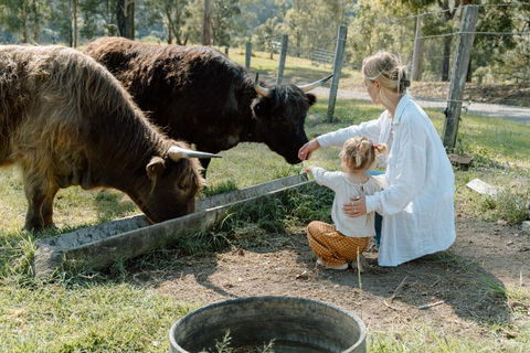 Family Fun On The Farm! Close To Kenilworth Stylish Feed Friendly Cows Breathtaking 360 Views - ACT Tourism 0