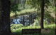 Frog Hollows - thumb 4
