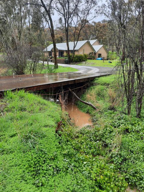 Frogmouth Hollow - ACT Tourism 4