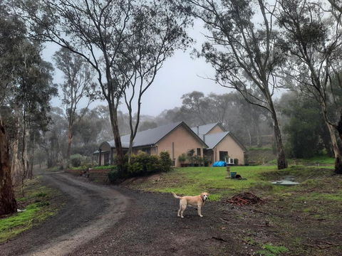 Frogmouth Hollow - ACT Tourism 0