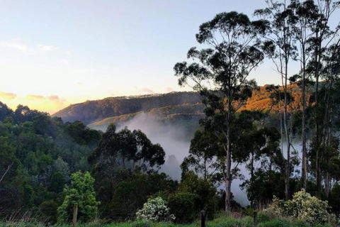 HILLSIDE HOUSE - ACT Tourism 2
