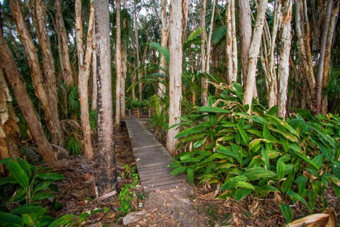 Agnes Palms Accommodation - ACT Tourism 0