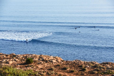 Aldinga Beach Experience - ACT Tourism 3