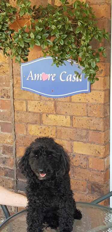 Amore Casa Tenterfield - ACT Tourism 2