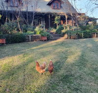 Angaston by the Winter Creek - ACT Tourism