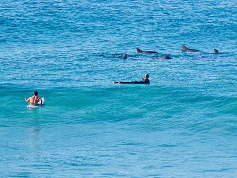 Aquarius Apartment 9 - ACT Tourism 1