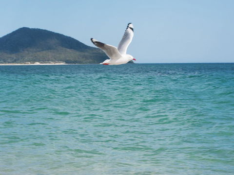 Architectural Design On The Beach - ACT Tourism 1