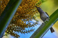 Book Karumba Accommodation Vacations ACT Tourism ACT Tourism