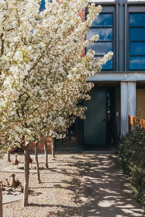 Mews Cottages - ACT Tourism 2