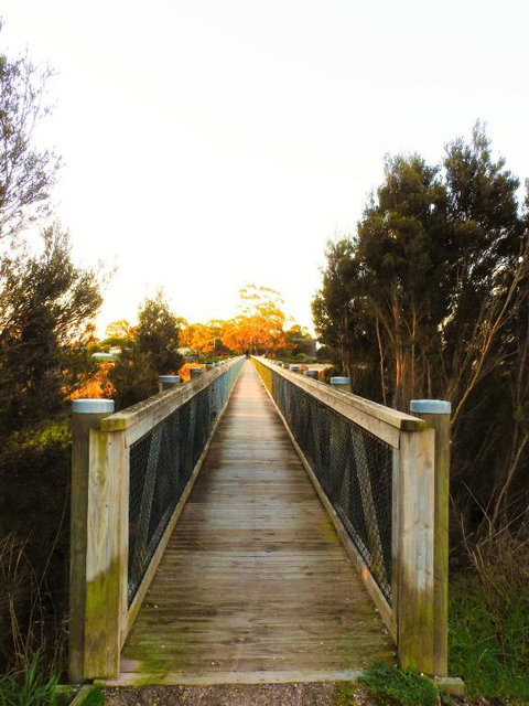 Moomba Holiday And Caravan Park - ACT Tourism 3