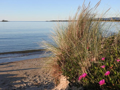 Moomba Holiday And Caravan Park - ACT Tourism 1