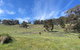 Moonrise Hill - thumb 2