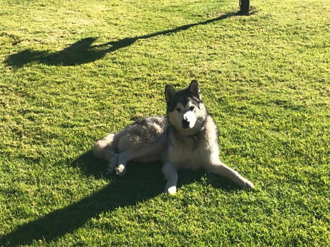 Mountain Culture Farm Stay - Pet Friendly - ACT Tourism 3