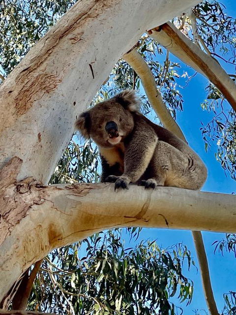 MrandMrs Fish Cabins - ACT Tourism 1